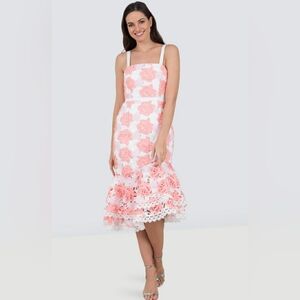 La Maison Lace Talulah Pink White Embroidered Tiered Dress Size …